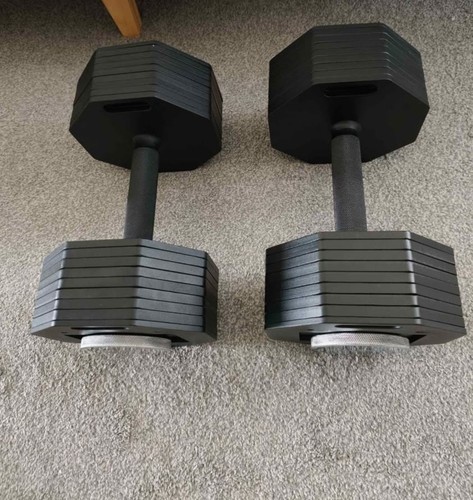 Eisenlink adjustable dumbbells - eisenlink,